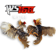 ws168 DRAMATOGEL